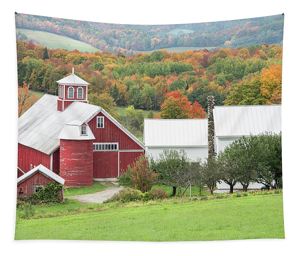 Dorset Tapestry featuring the photograph Barnett Vermont - Bogie Mountain Farm by Photos by Thom