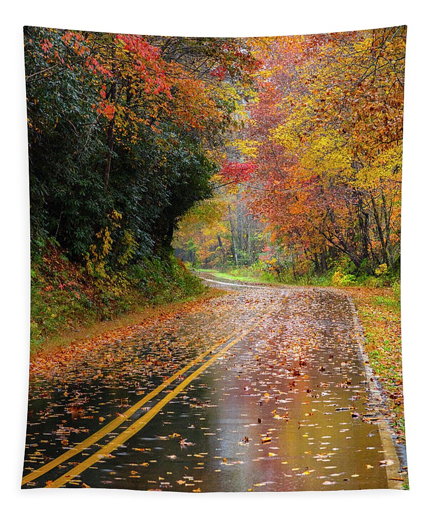 Carolina Tapestry featuring the photograph Autumn Drive II by Debra and Dave Vanderlaan