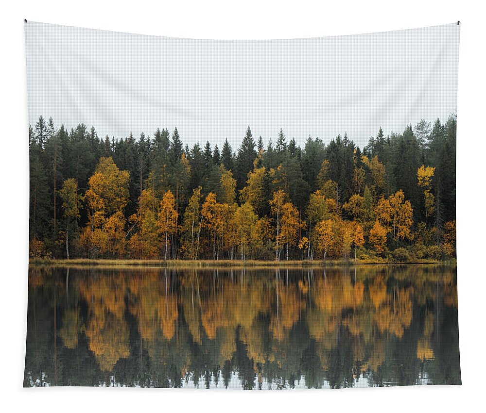 Dramatic Tapestry featuring the photograph Autumn fairy tale in Kainuu, Finland by Vaclav Sonnek