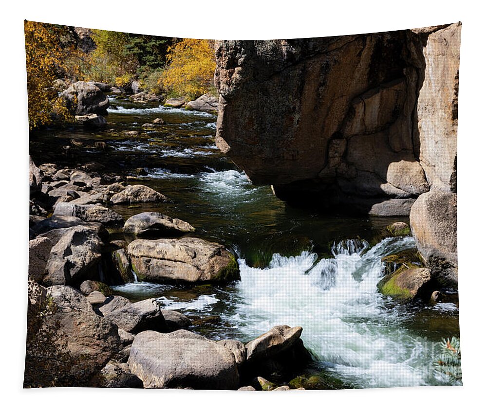Eleven Mile Canyon Tapestry featuring the photograph Autumn Falls in Eleven Mile by Steven Krull