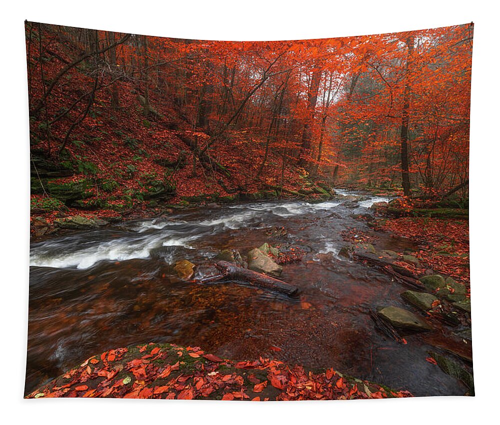 Fall Scenes Tapestry featuring the photograph Autumn Fire by Darren White