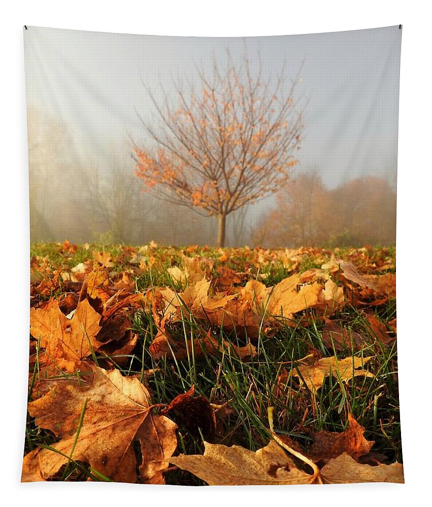 Autumn Tapestry featuring the photograph Autumn Fog by Dark Whimsy