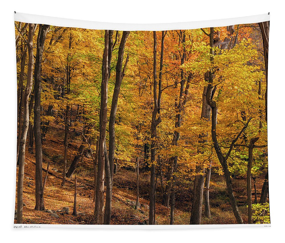 Hiking Tapestry featuring the photograph Autumn Forest Masking The Signature Series by Angelo Marcialis