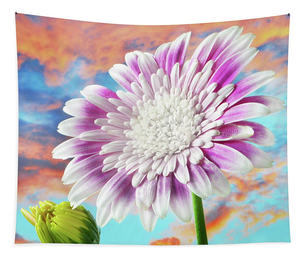 Gerbera Tapestry featuring the photograph Autumn Gerbera, by Terence Davis