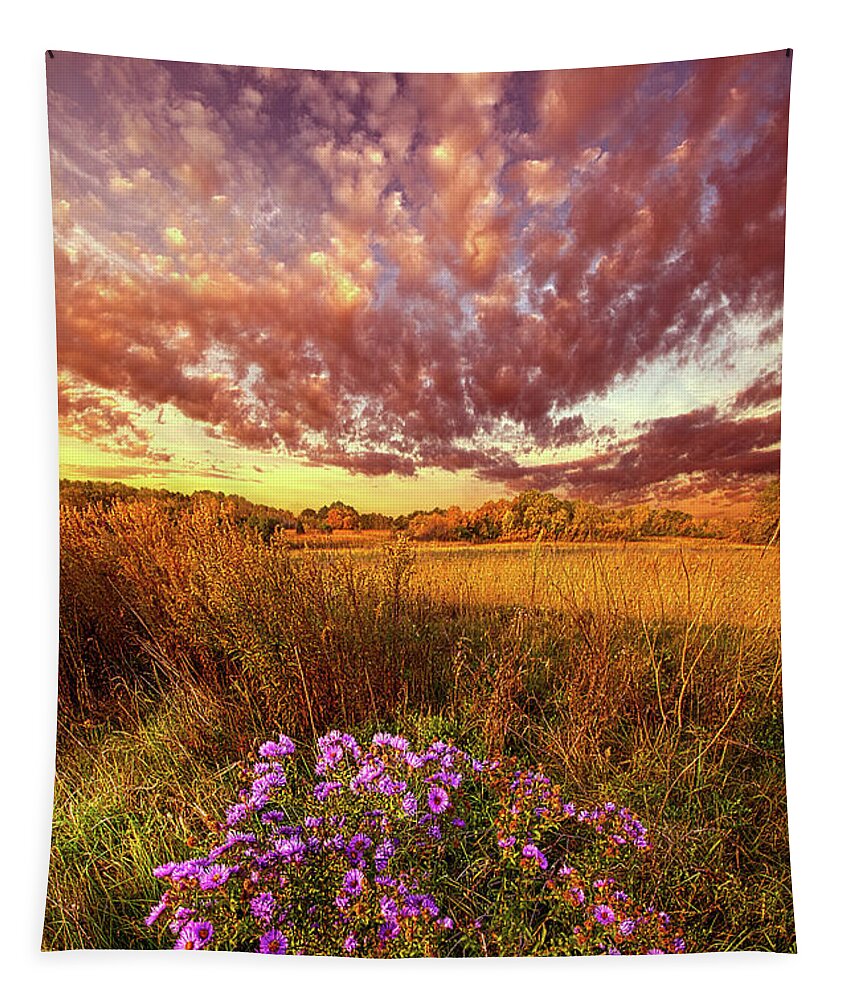 Weather Tapestry featuring the photograph Autumn Glow by Phil Koch