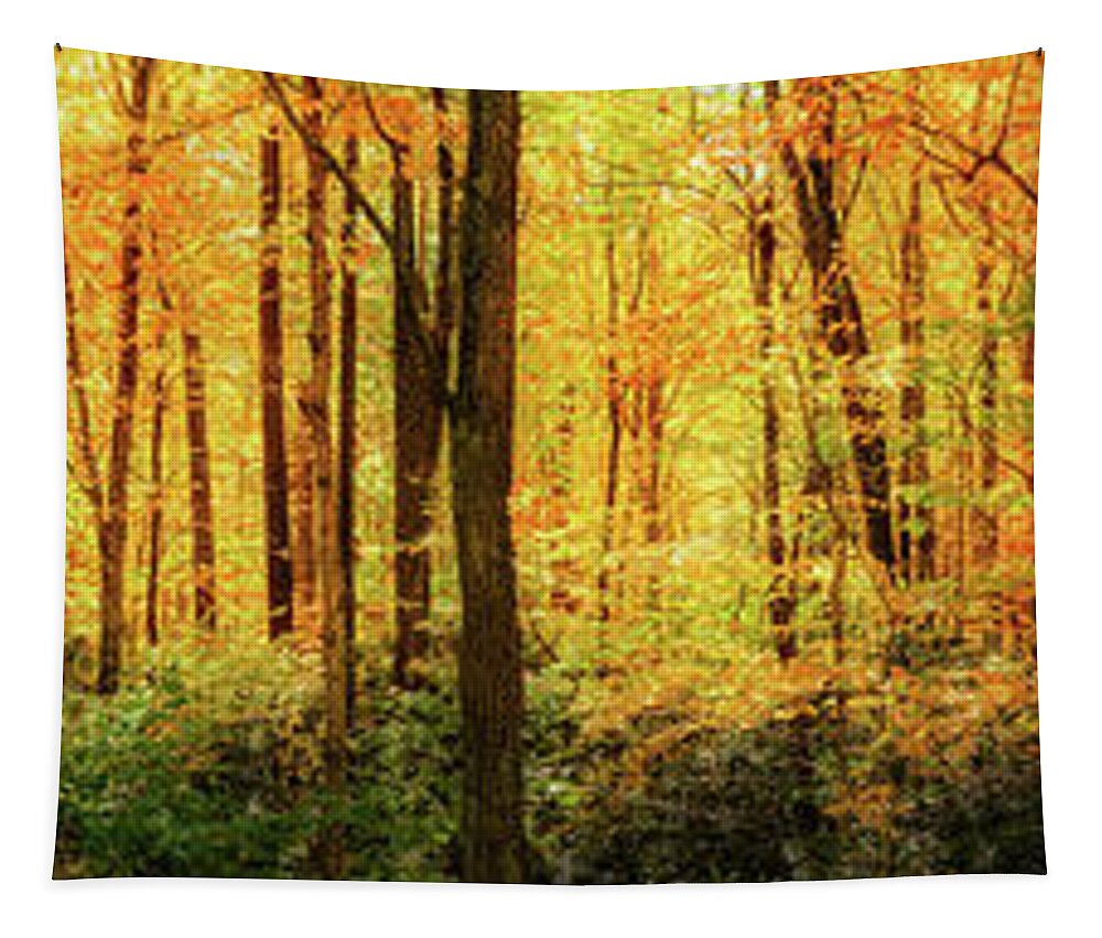 Fall Tapestry featuring the photograph Autumn Gold Trees Aplenty by Dan Carmichael