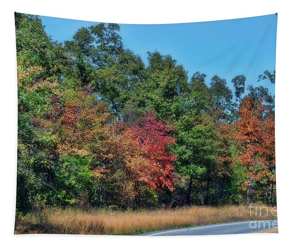 Autumn Tapestry featuring the photograph Autumn in Arkansa by Joan Bertucci