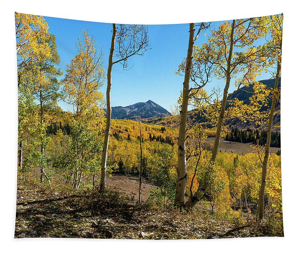 Aspens Tapestry featuring the photograph Autumn in Gothic Valley 5 by Ron Long Ltd Photography