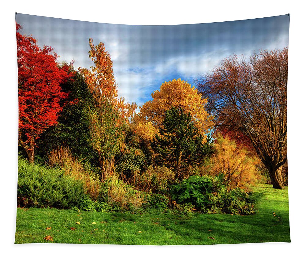 Fall Tapestry featuring the photograph Autumn in Inveresk by Micah Offman