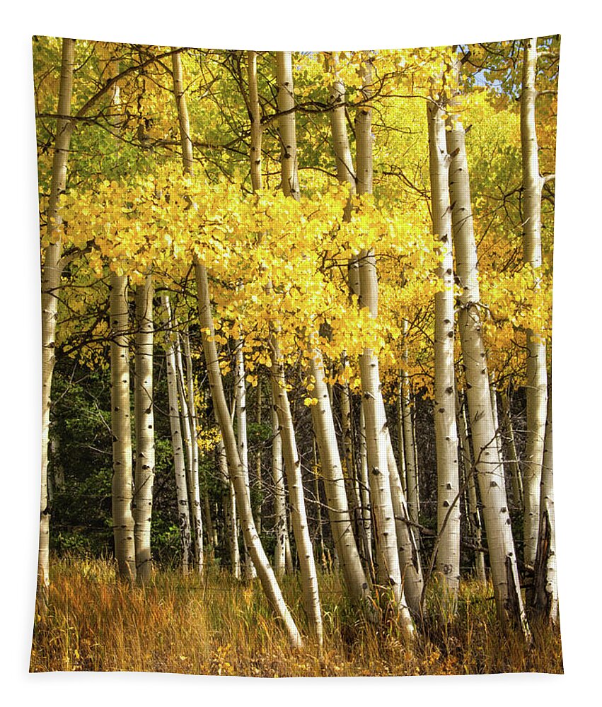 Enchanted Circle New Mexico Tapestry featuring the photograph Autumn in New Mexico by Rebecca Herranen