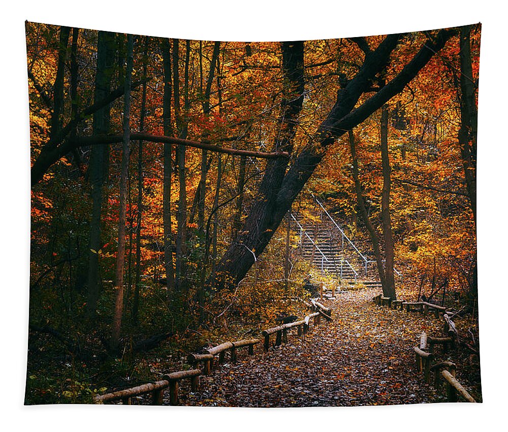 Fall Tapestry featuring the photograph Autumn in Riverside Park by Scott Norris