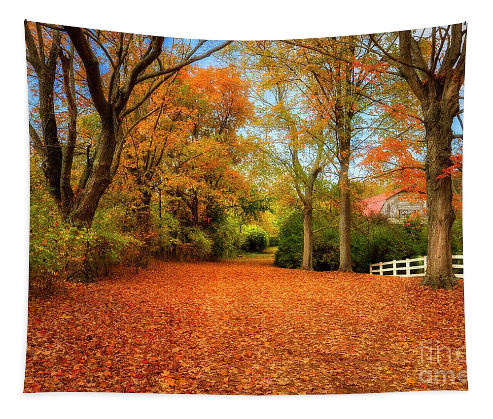 Autumn Tapestry featuring the photograph Autumn in the Country by Shelia Hunt