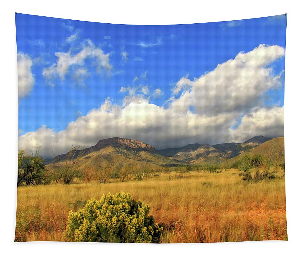 Huachuca Mountains Tapestry featuring the photograph Autumn In The Huachuca Mountains by Robert Harris