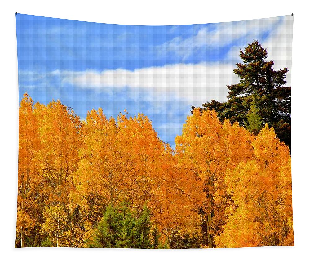 Owyhee Mountains Tapestry featuring the photograph Autumn in the Owyhee Mountains by Ed Riche