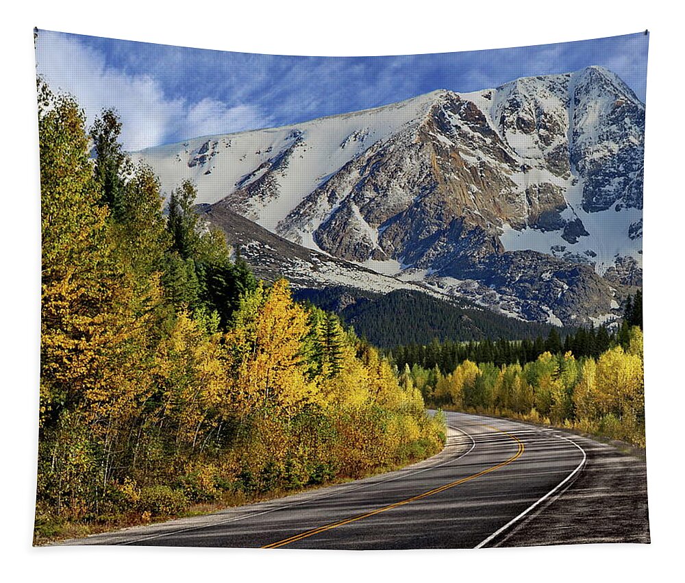 Autumn Tapestry featuring the photograph Autumn in the Rockies by Russ Harris