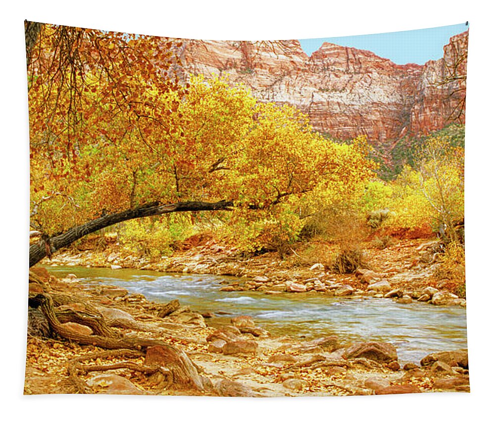 Usa Tapestry featuring the photograph Autumn In Zion by Randy Bradley