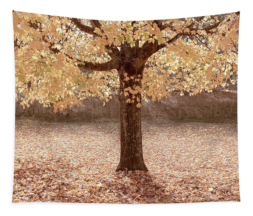 Carolina Tapestry featuring the photograph Autumn is Country Golden by Debra and Dave Vanderlaan