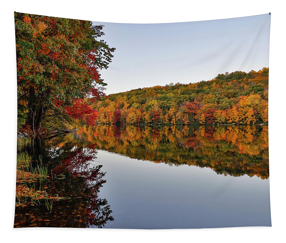 Autumn Tapestry featuring the photograph Autumn lake by Alexander Farnsworth