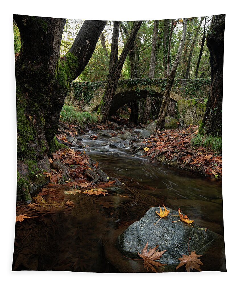 Autumn Tapestry featuring the photograph Autumn landscape with river flowing below a stoned ancient bridge by Michalakis Ppalis