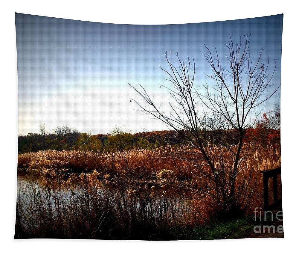 Nature Tapestry featuring the photograph Autumn Landscape Wetlands Bridge by Frank J Casella