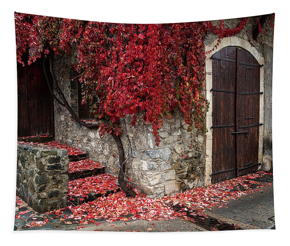 Autumn Tapestry featuring the photograph Autumn landscape with red plants on a hous wall by Michalakis Ppalis