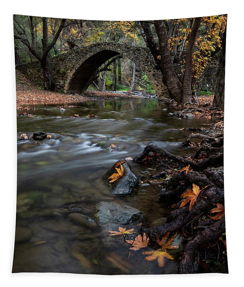 Autumn Tapestry featuring the photograph Autumn landscape with river flowing under a stoned bridge by Michalakis Ppalis