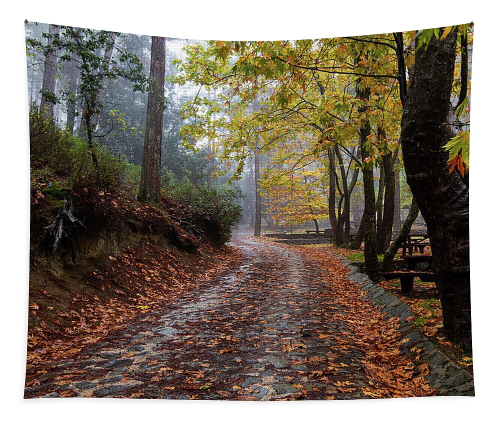 Autumn Tapestry featuring the photograph Autumn landscape with trees and Autumn leaves on the ground after rain by Michalakis Ppalis