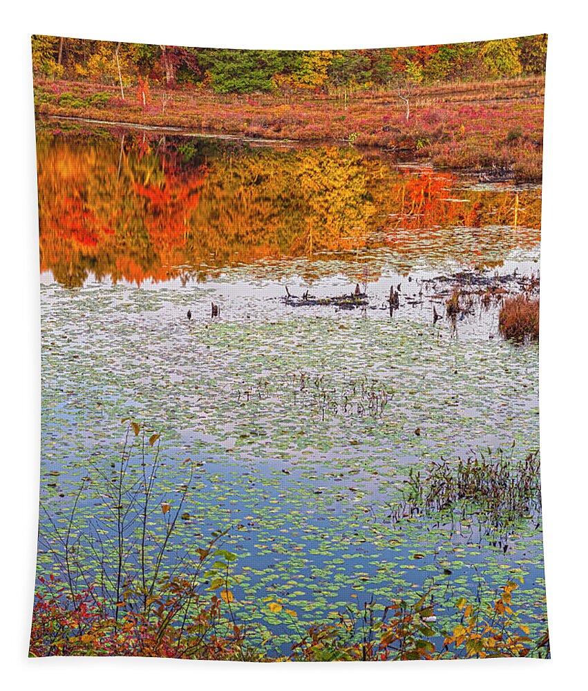Pond Tapestry featuring the photograph Autumn Layers by Angelo Marcialis