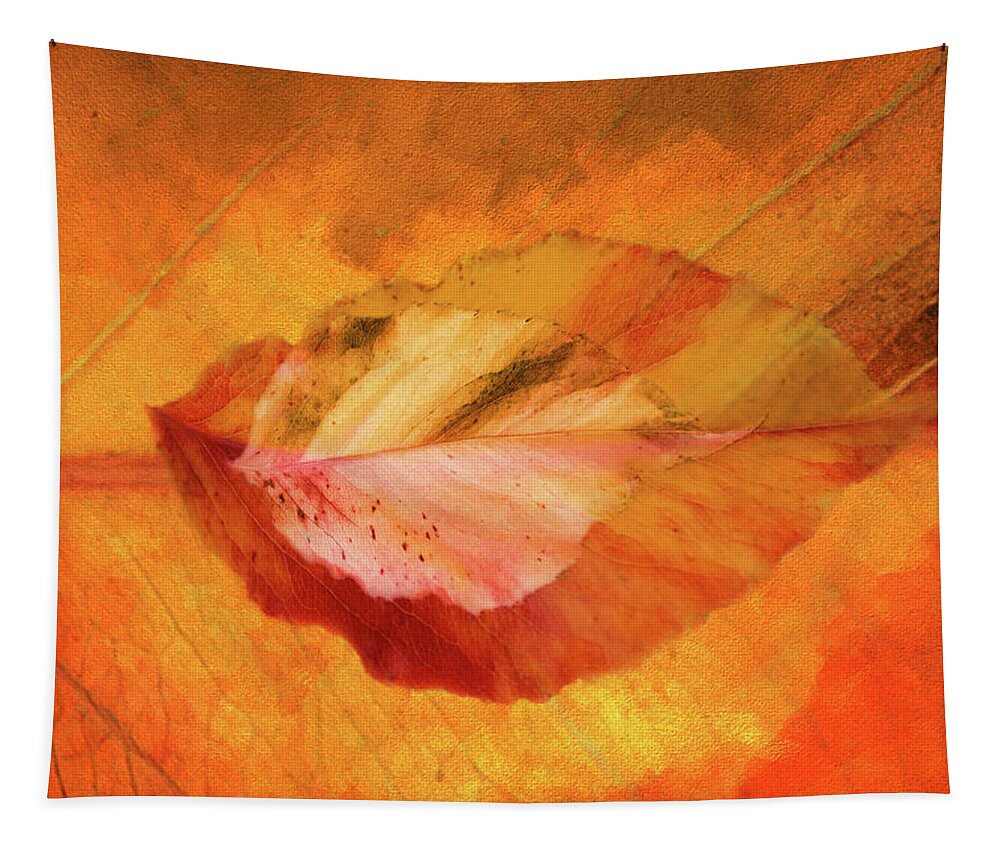 Photography Tapestry featuring the digital art Autumn Leaves Design by Terry Davis