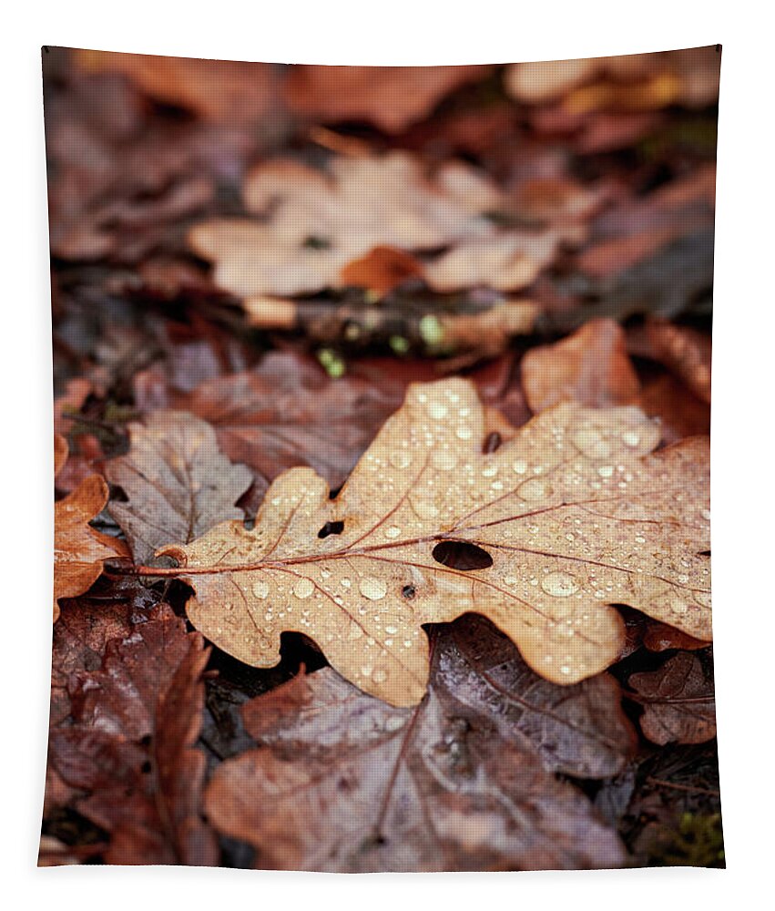 Forest Tapestry featuring the photograph Autumn Leaves by Gavin Lewis