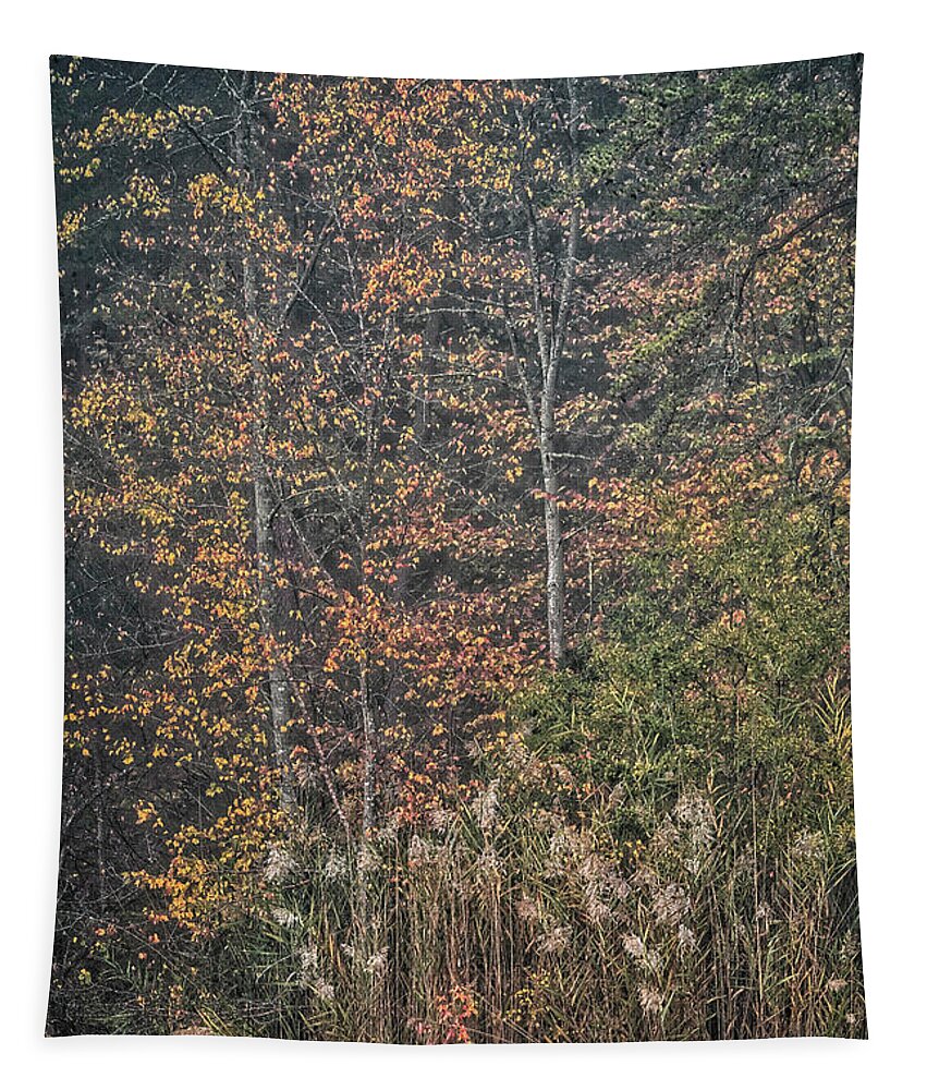 Maryland Tapestry featuring the photograph Autumn Morning 4 by Robert Fawcett