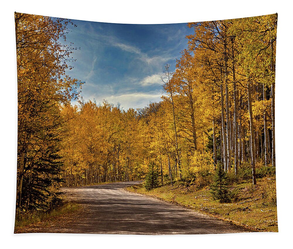 Co Tapestry featuring the photograph Autumn On 523 by Lana Trussell