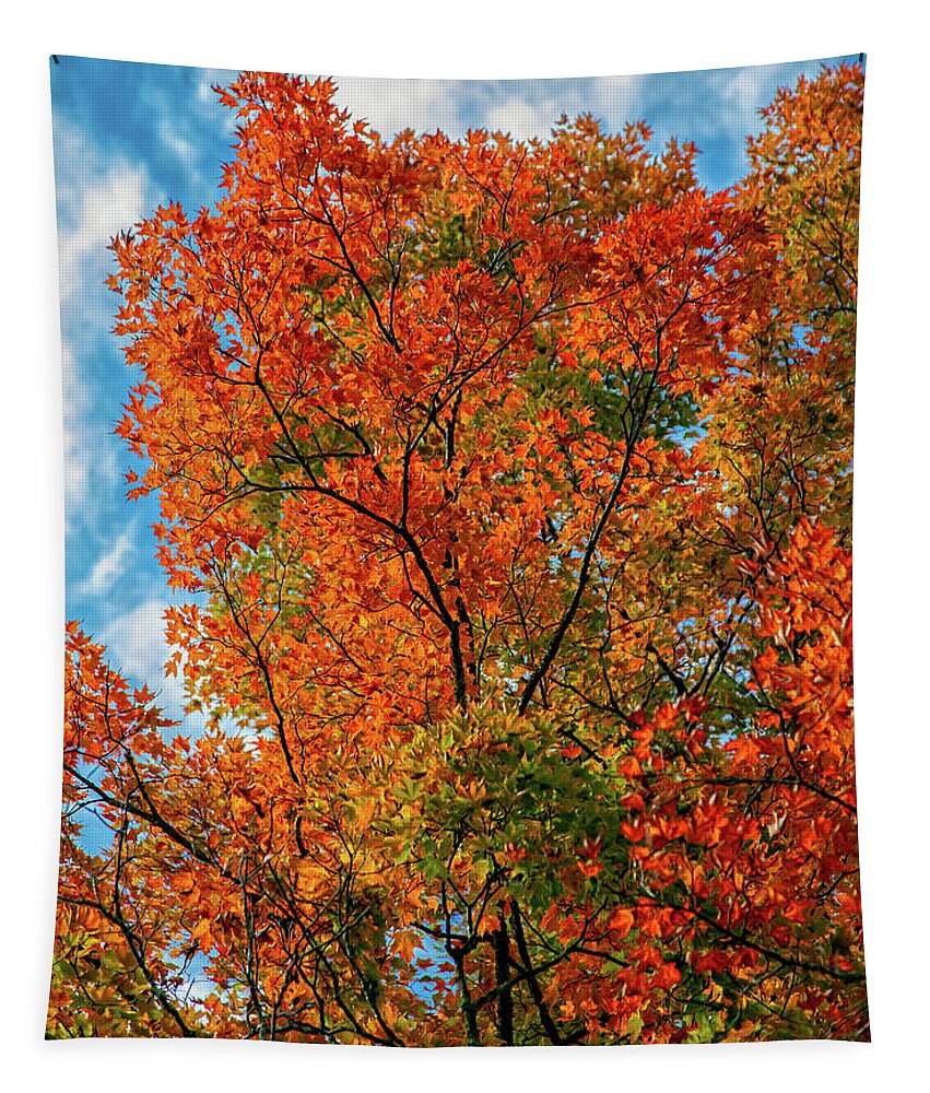 Autumn Orange Tapestry featuring the photograph Autumn Orange by Jaki Miller