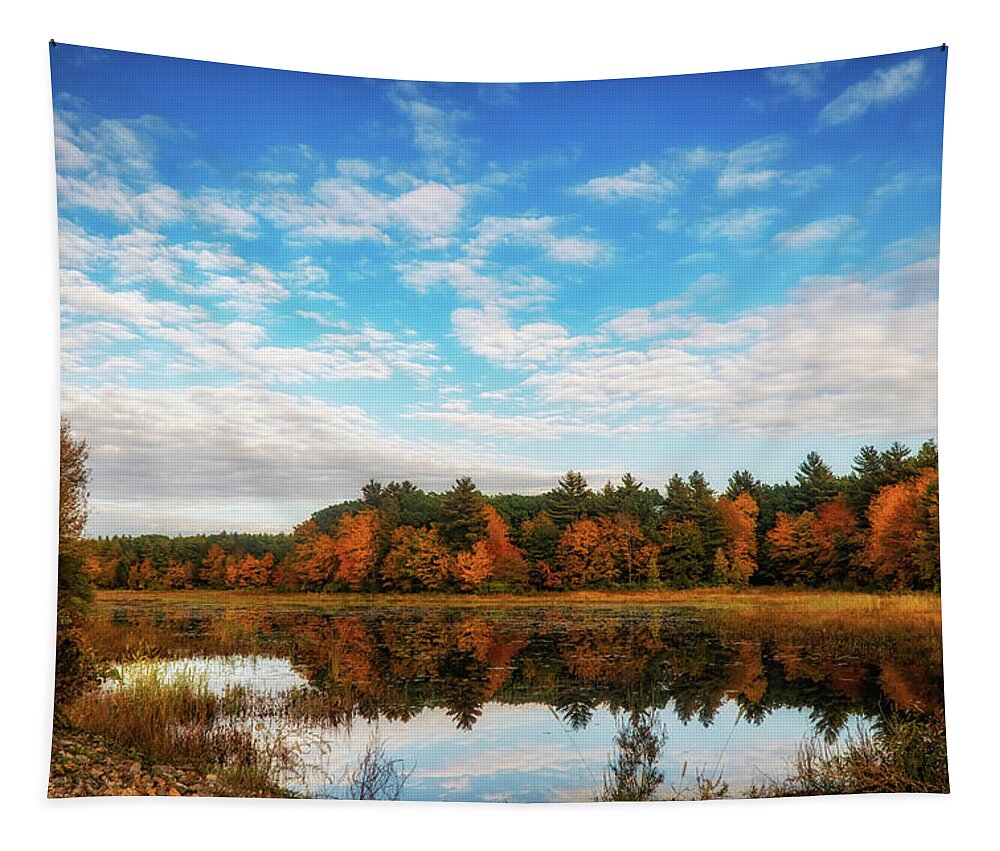 Reflections Tapestry featuring the photograph Autumn pond reflections 2 by Lilia S