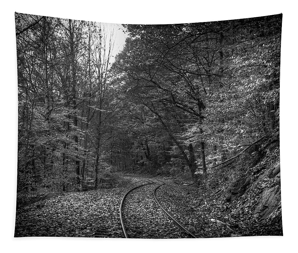Autumn Tapestry featuring the photograph Autumn Rails Monochrome by Wayne King