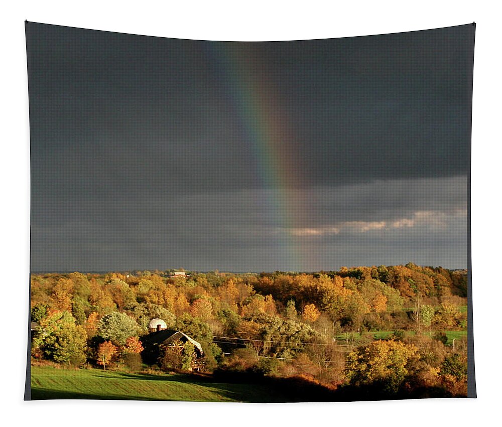 Rainbow Tapestry featuring the photograph Autumn Rainbow by Patricia Overmoyer