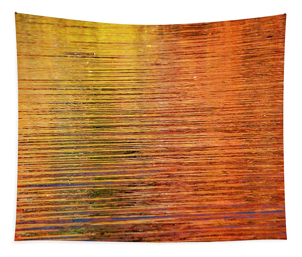 Abstract Tapestry featuring the photograph Autumn Reflection by Cathy Kovarik
