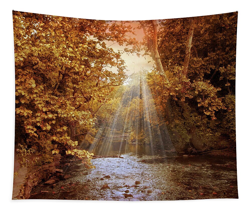 Autumn Tapestry featuring the photograph Autumn River Light by Jessica Jenney