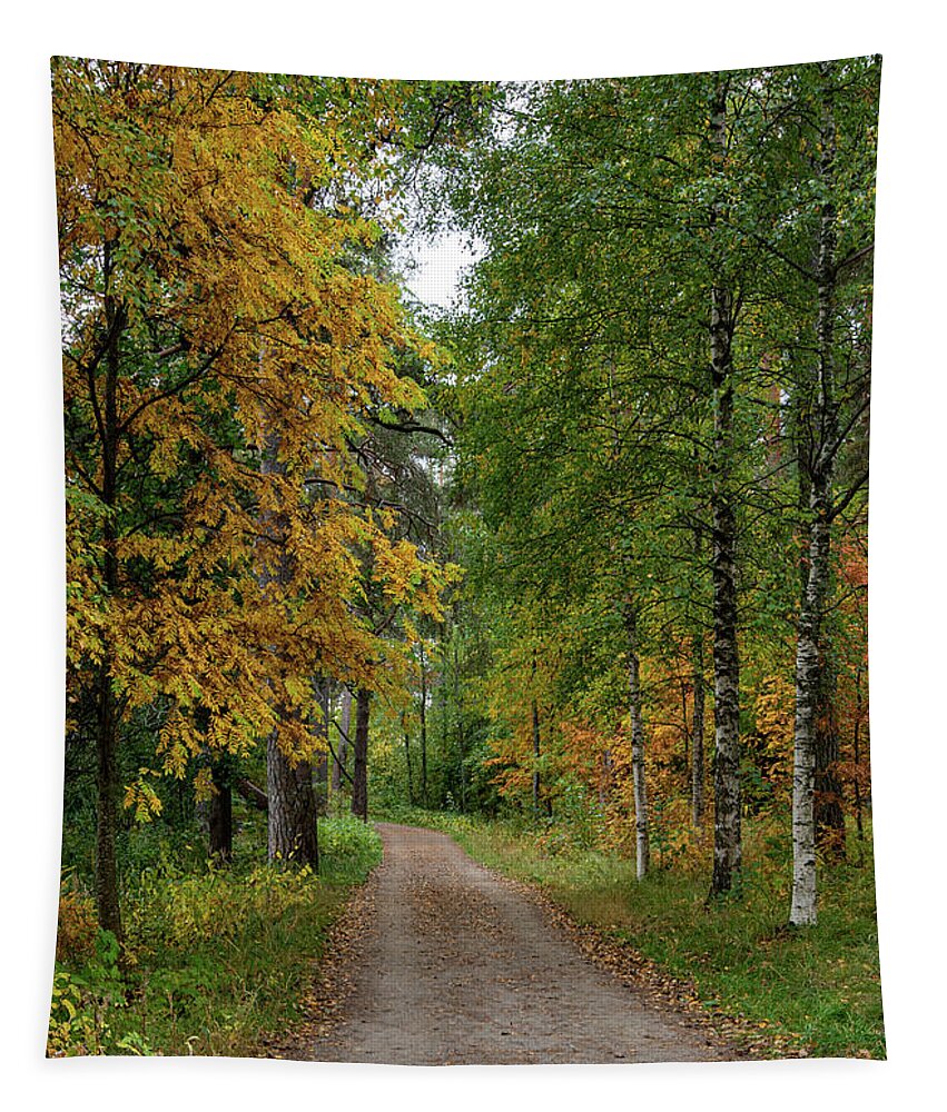 Autumn Tapestry featuring the photograph Autumn season forest landscape by Michalakis Ppalis