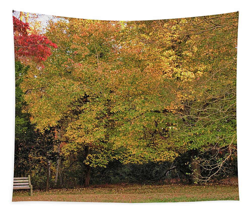 Autumn Tapestry featuring the photograph Autumn Serenity Awaits in the Park by Ola Allen
