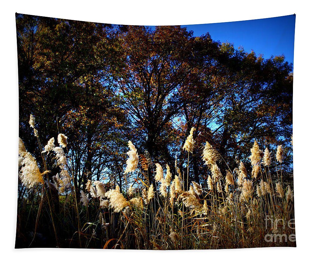 Nature Tapestry featuring the photograph Autumn Splendor by Frank J Casella