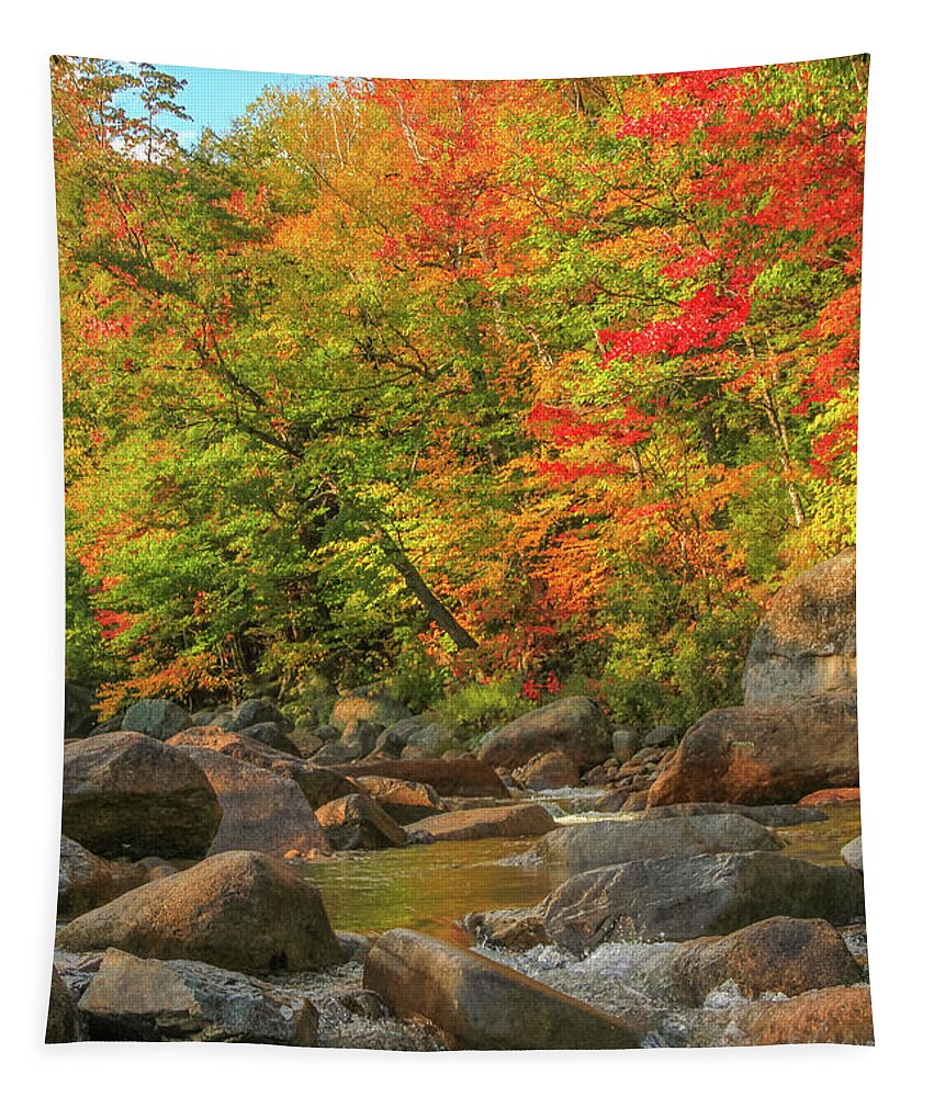 Autumn Stream Tapestry featuring the photograph Autumn Stream by Dan Sproul