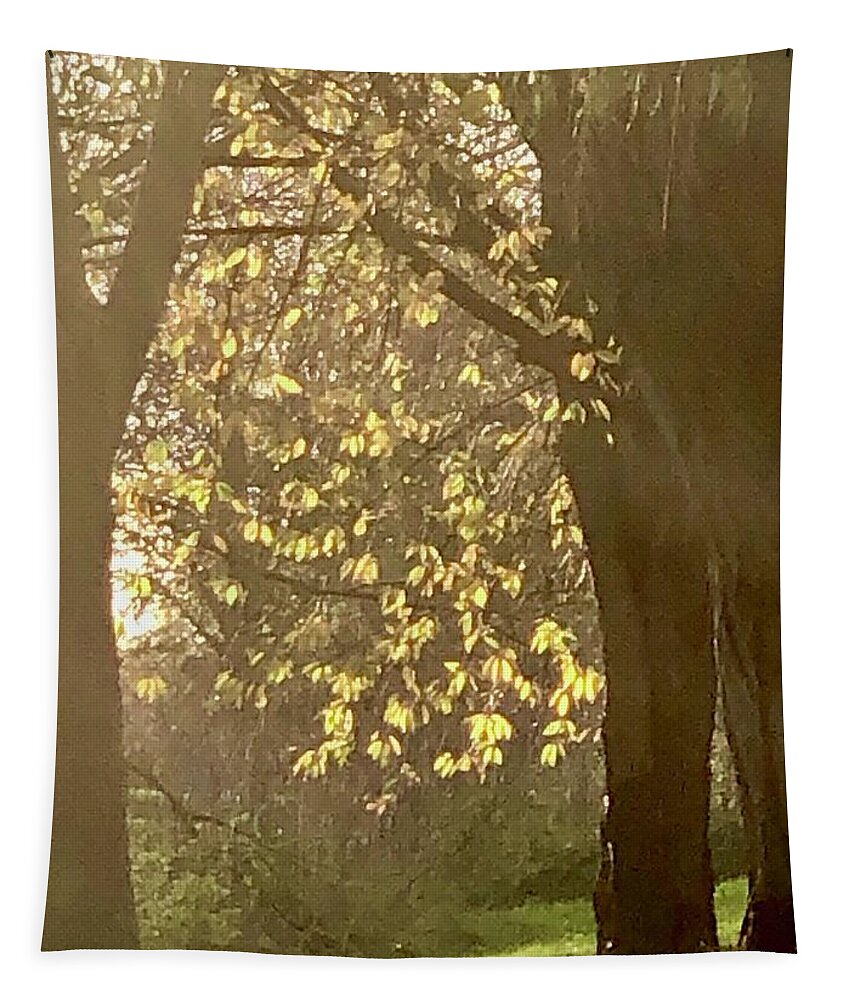  Tapestry featuring the photograph Autumn Sunlight by Gordon James