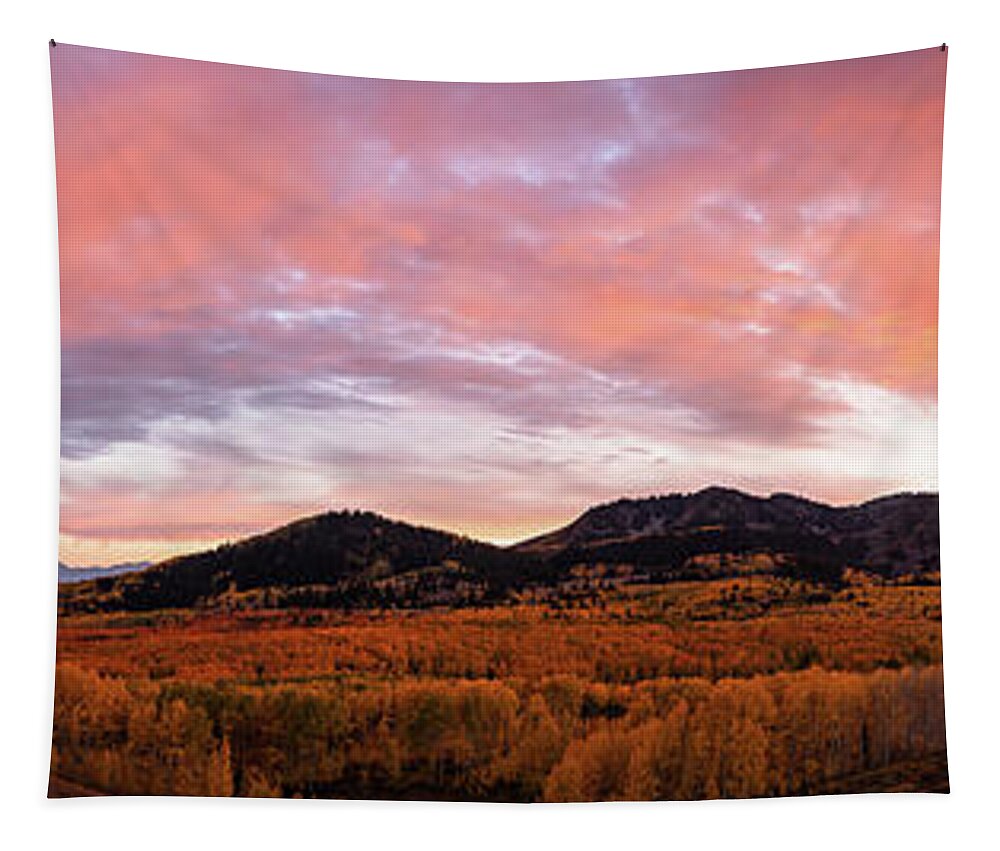 Autumn Tapestry featuring the photograph Autumn Sunset by Wesley Aston