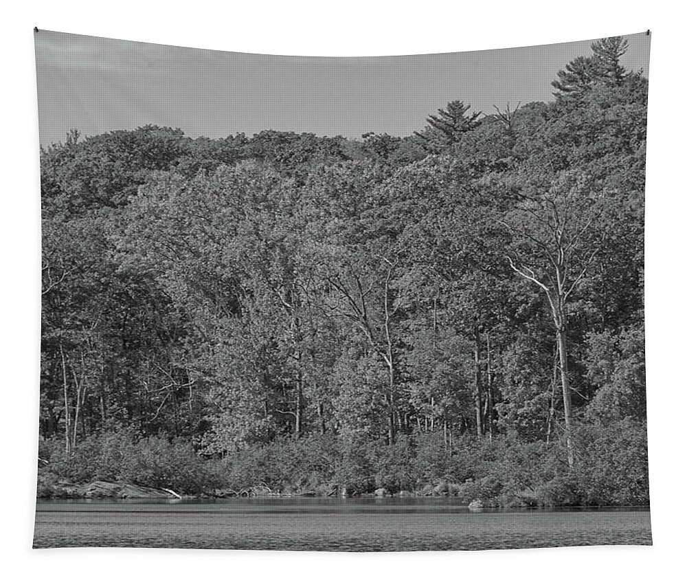Black And White Tapestry featuring the photograph Autumn Trees along the Lake by Alan Goldberg
