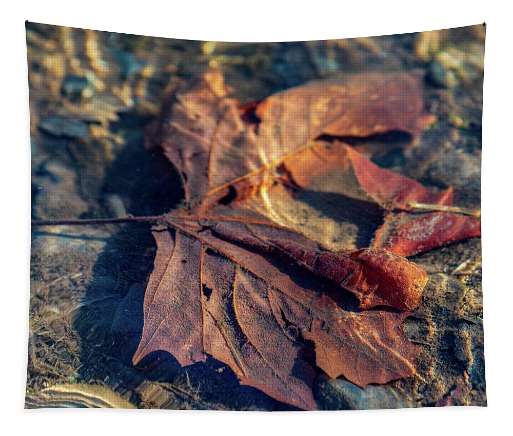 Seasons Tapestry featuring the photograph Autumn Underwater - Upper Delaware River by Amelia Pearn