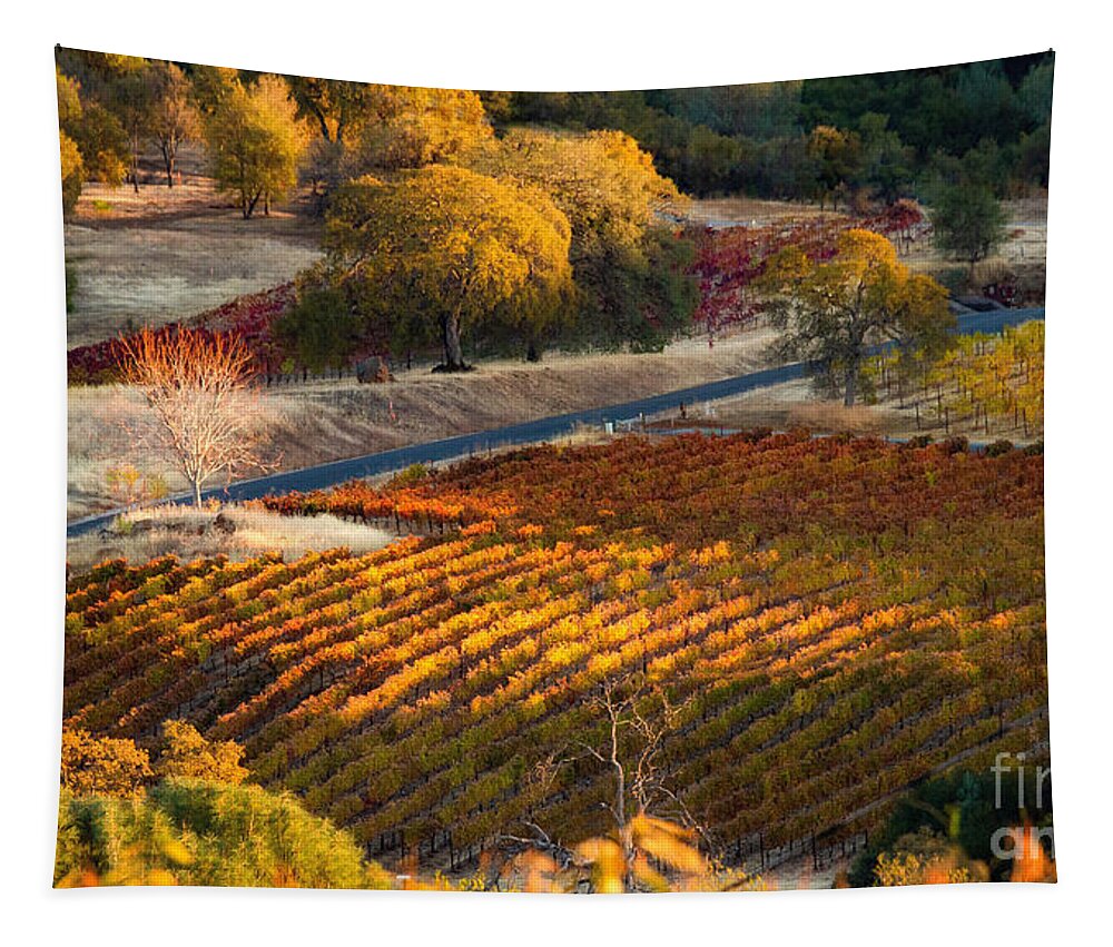 Vineyard Tapestry featuring the photograph Autumn Vines of Calaveras County by Leslie Wells