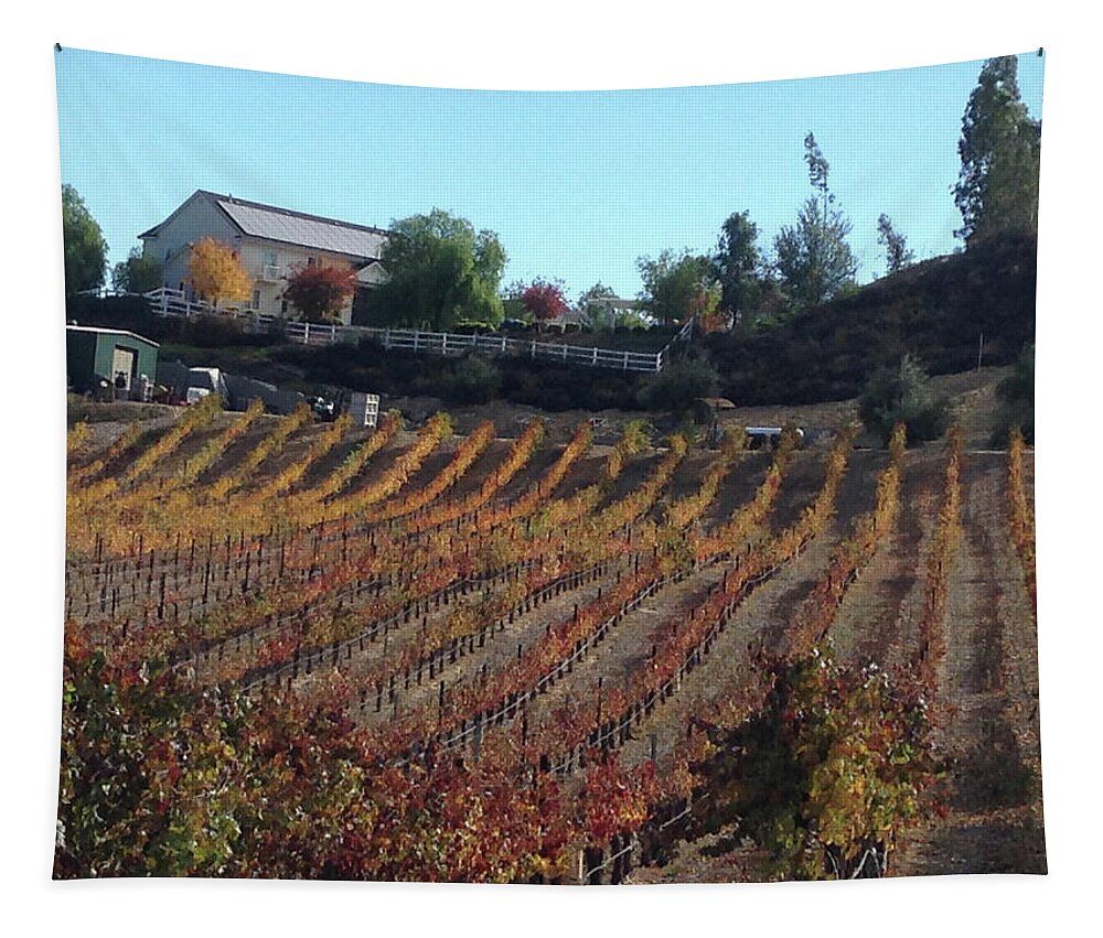 Autumn Tapestry featuring the photograph Autumn Vines Temecula by Roxy Rich