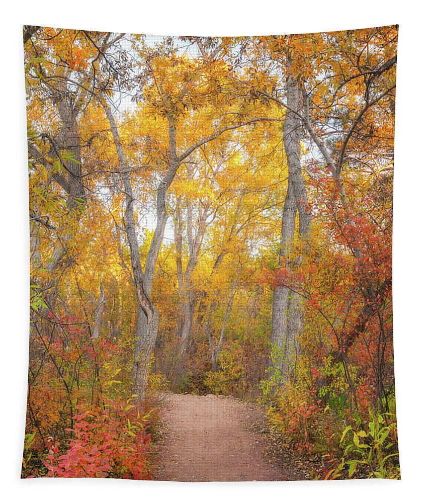 Autumn Tapestry featuring the photograph Autumn Walk by Darren White
