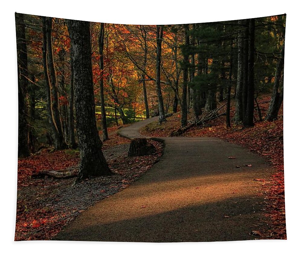Autumn Walkway Tapestry featuring the photograph Autumn Walk by Deb Beausoleil